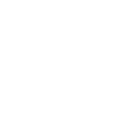 Play icon